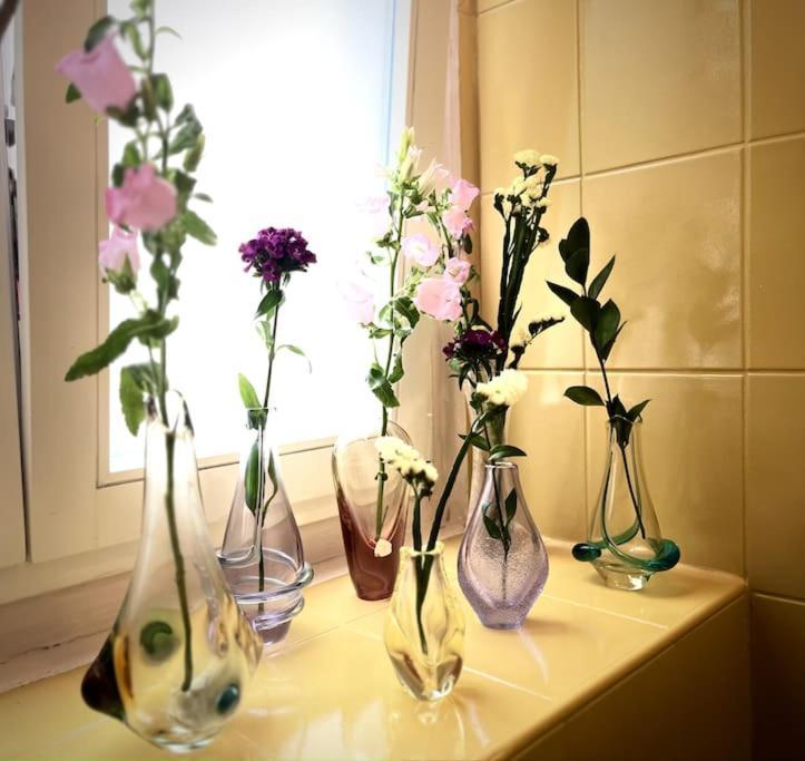 Sunny City - Apartment In Spa Zone With Private Garage Karlovy Vary Bagian luar foto